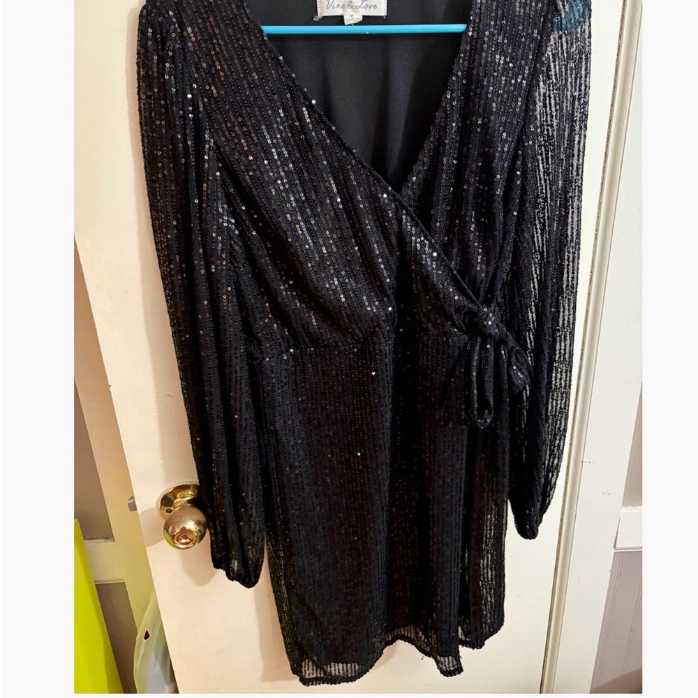 Vine & Love Black Sequin Dress
